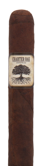 Foundation Cigars Charter Oak Connecticut Broadleaf Petite Corona Cigar - Single