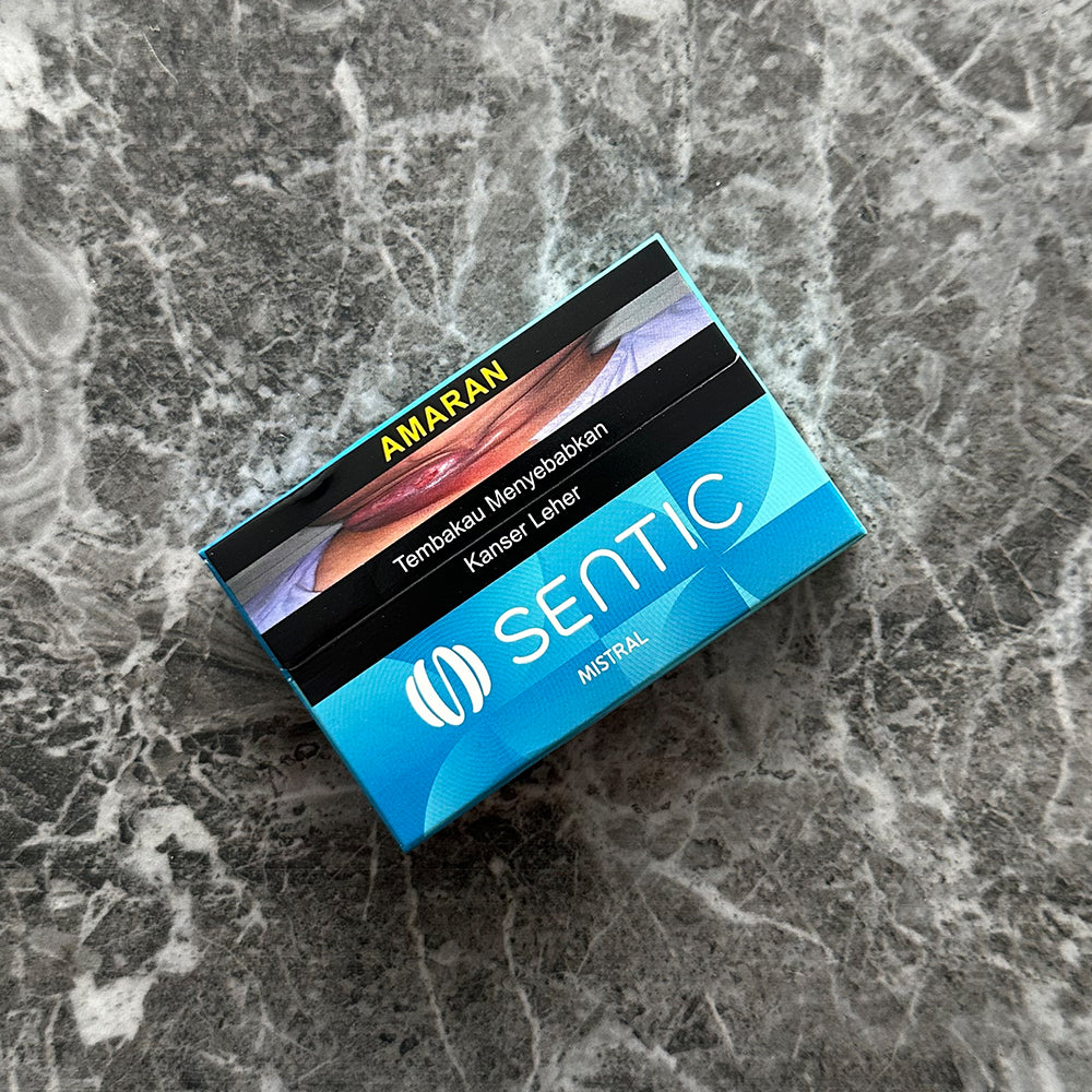 Sentic Mistral