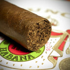 Punch Double Coronas Cuban Cigar - Single
