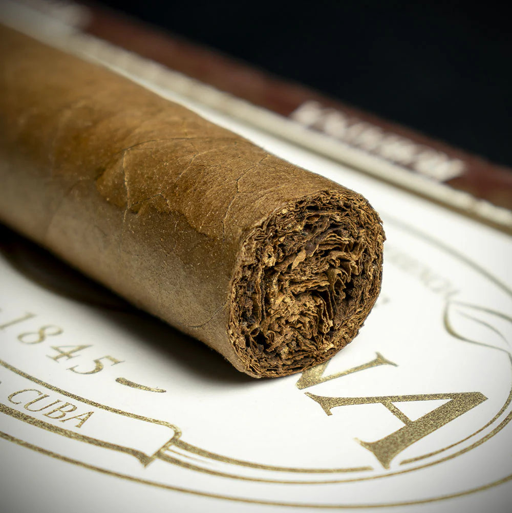 Vegas Robaina Famosos Cuban Cigar - Single