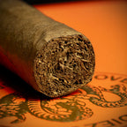 Casa 1910 Revolutionary Edition Cuchillo Parado Robusto Cigar - Single