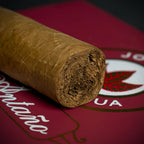 Joya de Nicaragua Antaño CT Robusto Cigar - Single