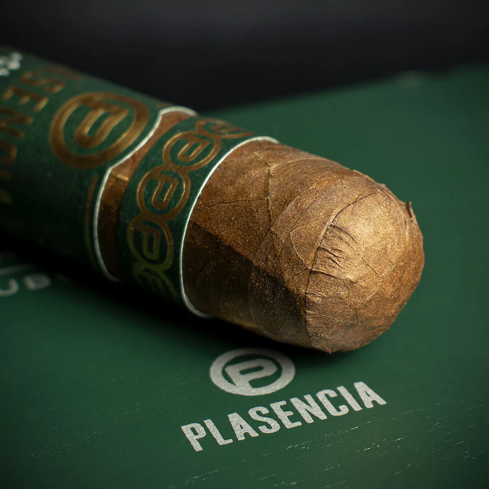 Plasencia Alma Fuerte Short Robusto Cigar - Single