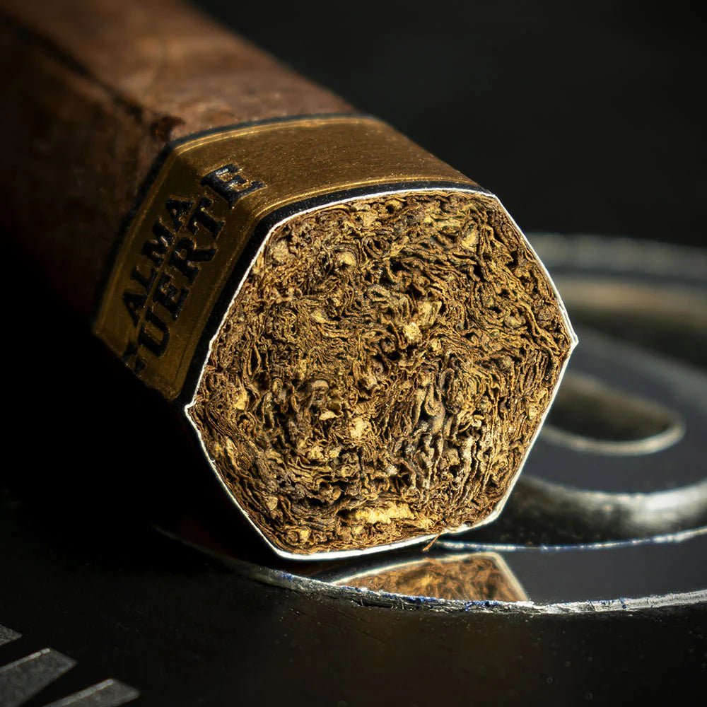 Plasencia Alma Fuerte Sixto II Hexagono Cigar - Single