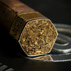 Plasencia Alma Fuerte Sixto II Hexagono Cigar - Single