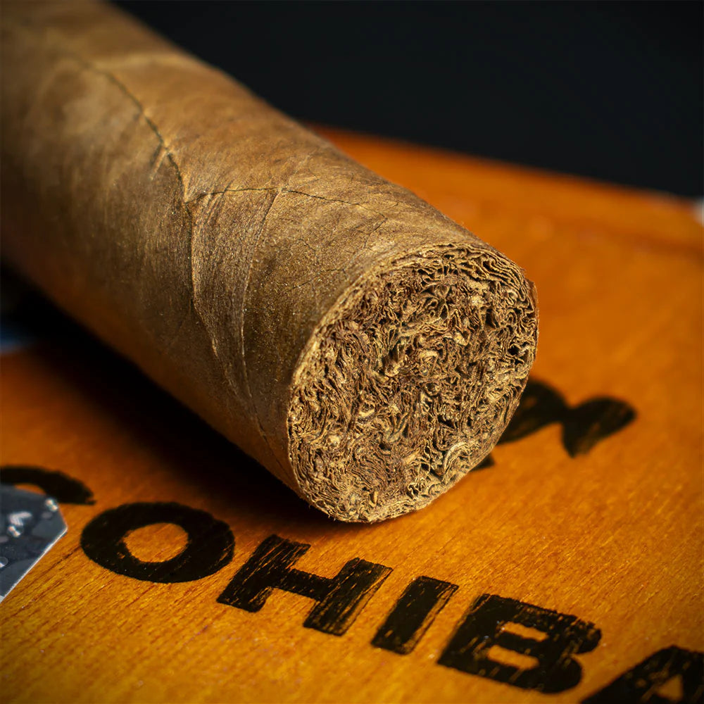 Cohiba Robustos Cuban Cigar - Single