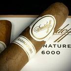 Davidoff Signature 6000 Robusto Cigar - Single