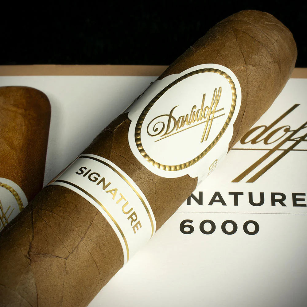Davidoff Signature 6000 Robusto Cigar - Single