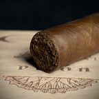 CAO Pilon Robusto Cigar - Single