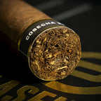 Plasencia Cosecha 151 La Musica Robusto Cigar - Single