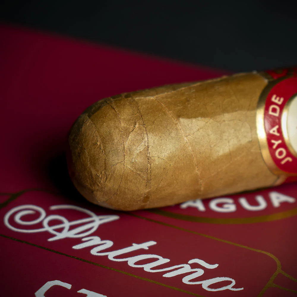 Joya de Nicaragua Antaño CT Robusto Cigar - Single