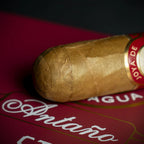 Joya de Nicaragua Antaño CT Robusto Cigar - Single