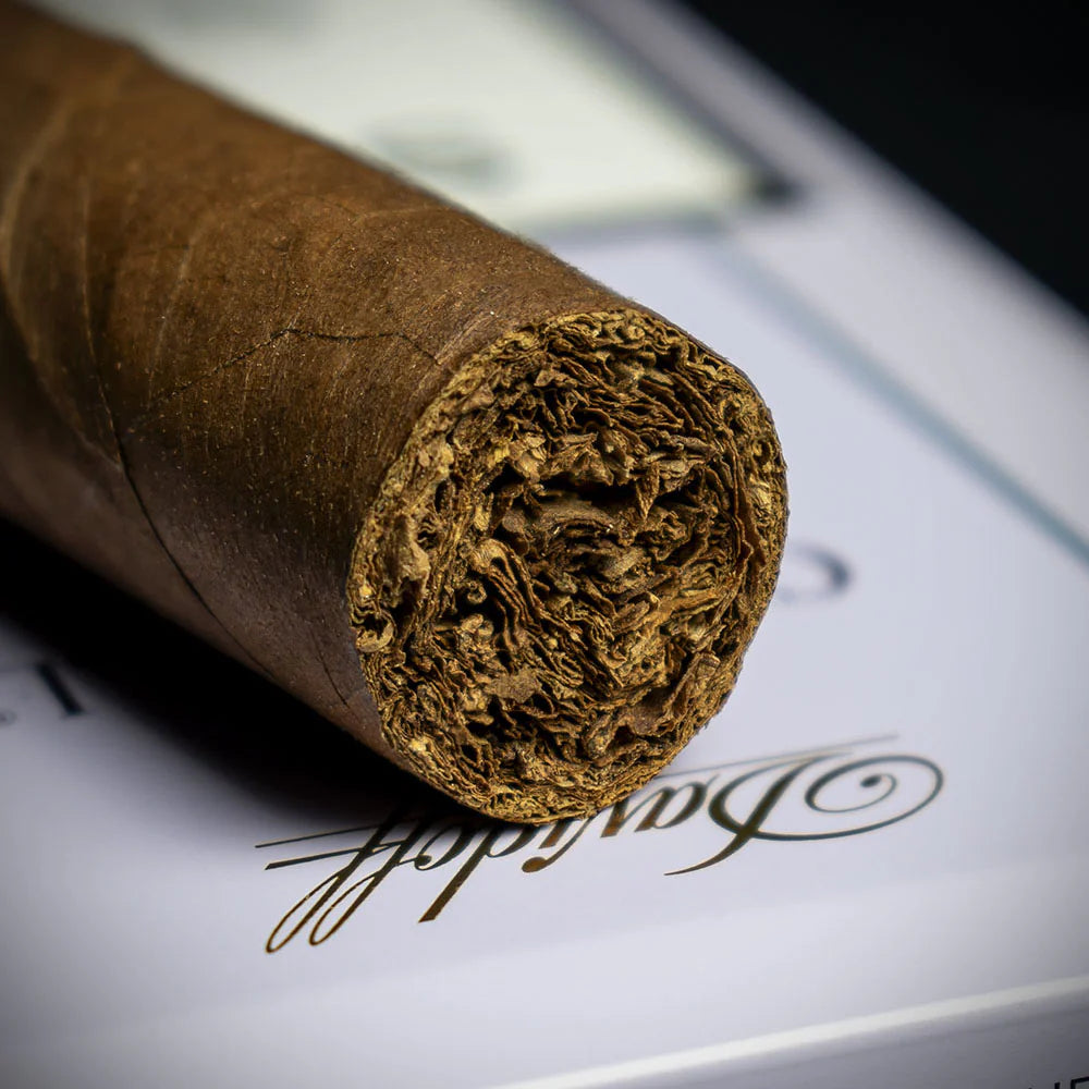 Davidoff Winston Churchill The Traveller Belicoso Cigar - Single