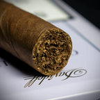 Davidoff Winston Churchill The Traveller Belicoso Cigar - Single
