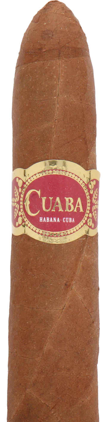 Cuaba Salomones Cuban Cigar - Single