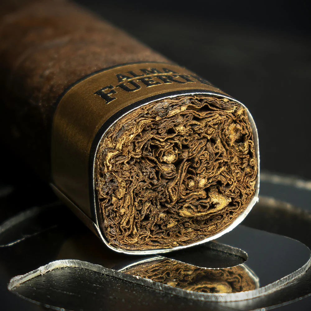 Plasencia Alma Fuerte Box Pressed Robusto Cigar - Single