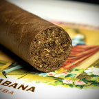 Romeo y Julieta Cupidos Cuban Cigar - Single
