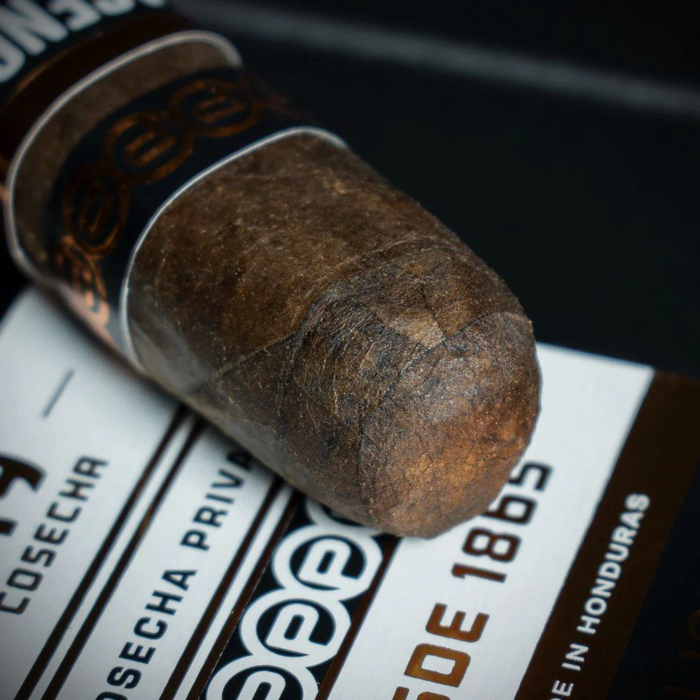 Plasencia Cosecha 149 La Vega Robusto Cigar - Single