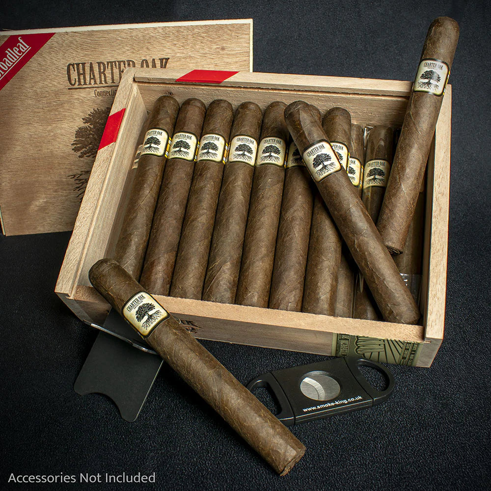 Foundation Cigars Charter Oak Connecticut Broadleaf Toro Cigar - Single