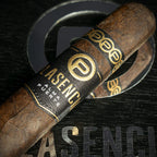 Plasencia Alma Fuerte Box Pressed Robusto Cigar - Single