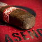 Plasencia Alma del Fuego Nicaraguan Candente Robusto Cigar - Single
