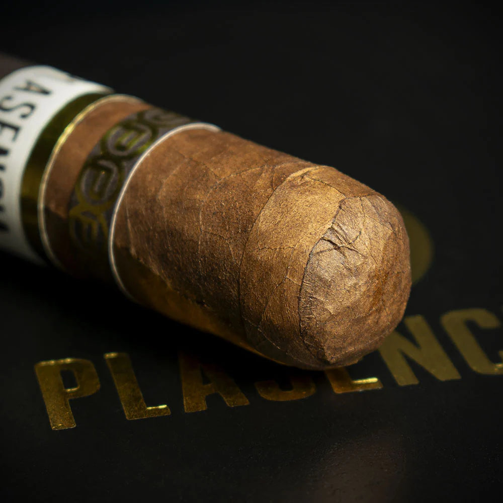 Plasencia Cosecha 151 La Tradicion Toro Cigar - Single