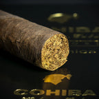 Cohiba Maduro 5 Genios Cuban Cigar - Single