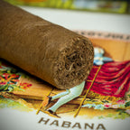 Romeo y Julieta Mille Fleur Cuban Cigar - Single