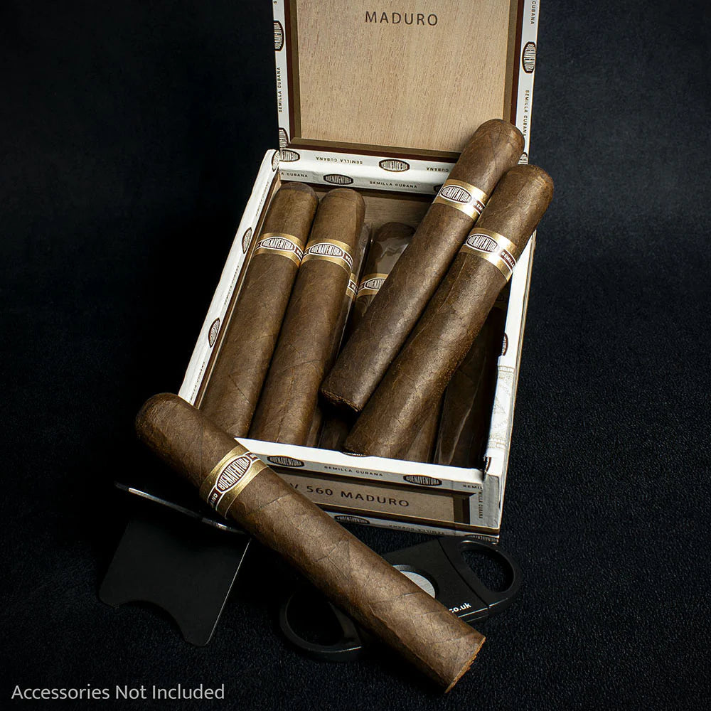 Curivari Buenaventura BV 560 Nicaraguan Maduro Robusto Cigar - Single