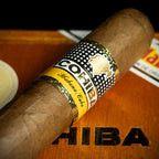Cohiba Siglo IV Cuban Cigar - Single