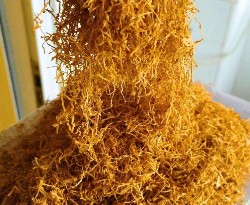 Big Tobacco