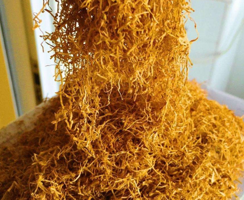 Big Tobacco