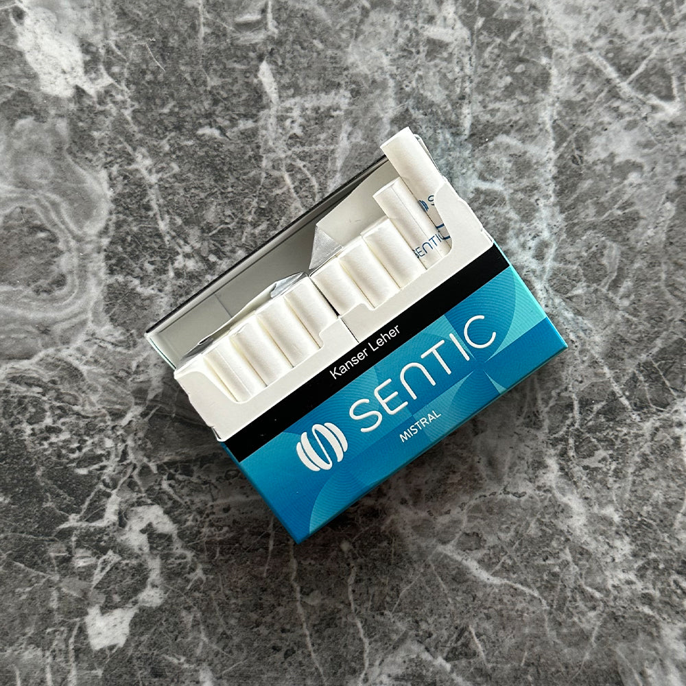 Sentic Mistral